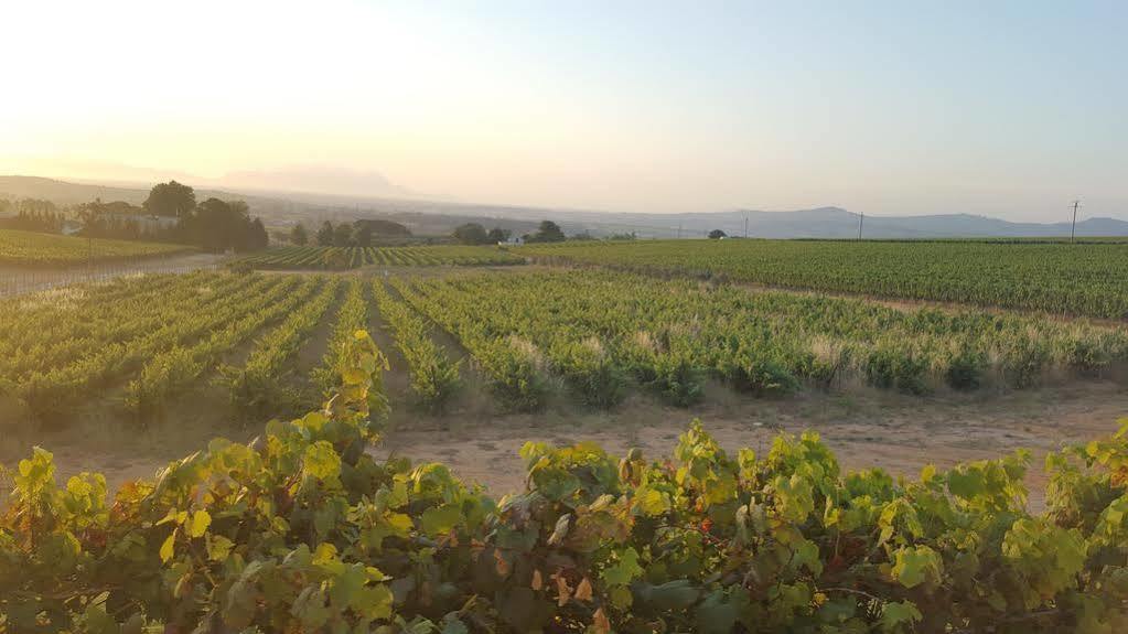 Dieu Donne Stellenbosch Eksteriør bilde